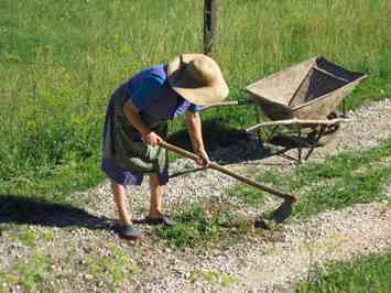 In Search of the Perfect Garden Hoe Image